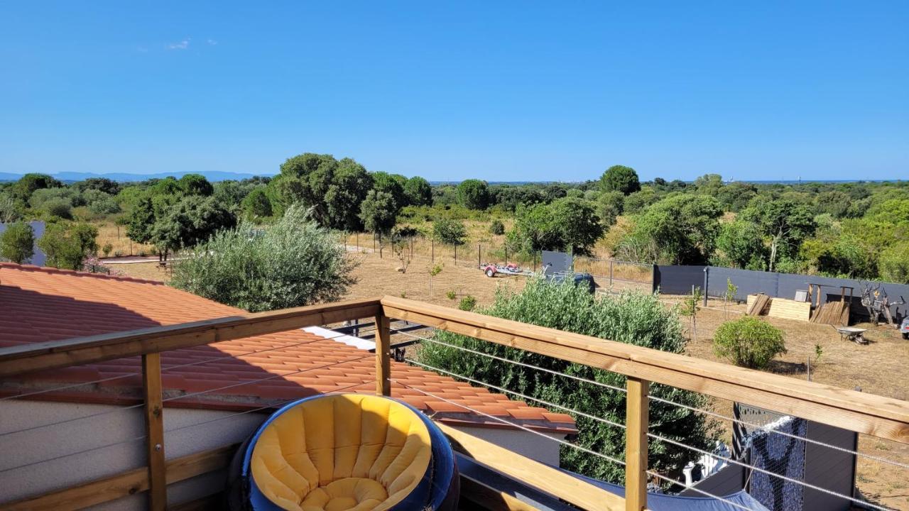 Gite Du Soleil Maison Lumineuse Avec Terrasse Solarium Parking Prive Sorède Exteriör bild
